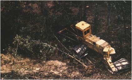 44n1.jpg