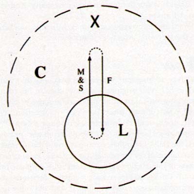DIAGRAM: The Inner and Outer Environmental Model