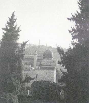 08n1.jpg