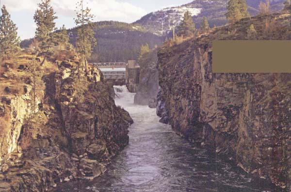 89n1.jpg